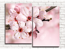 ����� 2-1.jpg