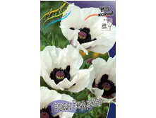 117,65���. ��� ���� �������(�������� ���� �� 2 ��., ����������� ����� 1��.).jpg