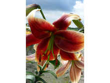 42,32���. ����� �������� ��������(��� 5 ��. ���������� �� 2��.).jpg