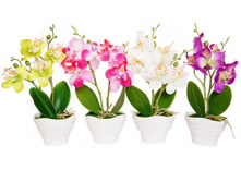 ������ � ����� "�������" �=23�� ������: 7228