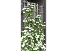 �������� �������� ����-185.jpg