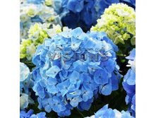 251���. ��������� �������������� ����� ���.jpg