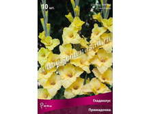 ��������� ������� ����������.jpg