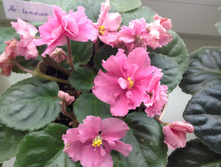 ��-������