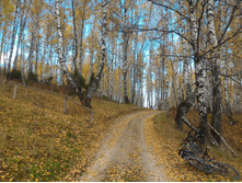 P 20161016 125601.jpg