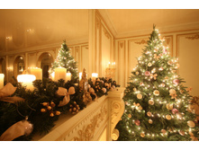 ��� ����