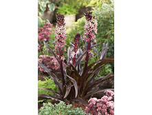 140,5���. ������� ��������� ��������(�������� ���� �� 1 ��., ����������� ����� 1��.)���17.jpg