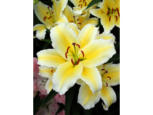 36,58���. ����� ����������(��� 5 ��. ���������� �� 2��.)���17.jpg