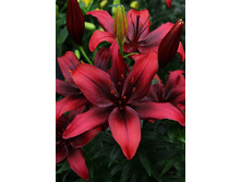 20,59���. ����� ����������(��� 7 ��. ���������� �� 2��.)���17.jpg