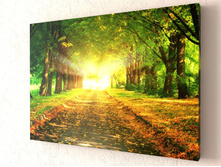 ����� 2 1-1.jpg