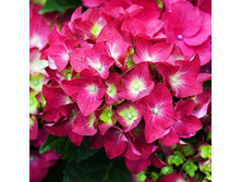 168���. ��������� �������������� ��� ���.jpg