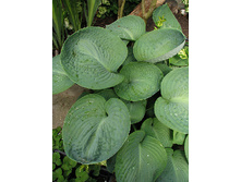 180���. ����� �� ����� ���(�������� ���� �� 1 ��., ����������� ����� 1��.)���17.jpg