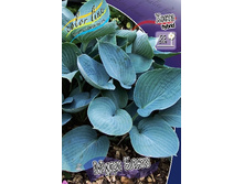 156,3���. ����� ���� ����(�������� ���� �� 1 ��., ����������� ����� 1��.).jpg