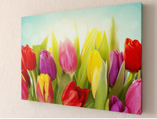 ��������� �������� 1-1.jpg