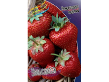 21,78���. ��������� ������� ��������(���������� ������ ������ ����������. � �������� 5 ��.).jpg