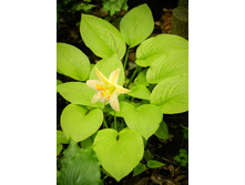 409���. ����� ������ ������(�������� ���� �� 1 ��., ����������� ����� 1��.)���17.jpg