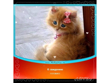 �� ��������)