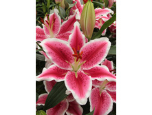 29,32���. ����� ��������(��� 5 ��. ���������� �� 2��.).jpg