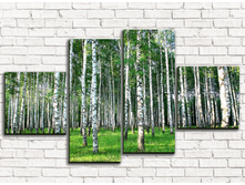 ��������� ���� 4-1.jpg