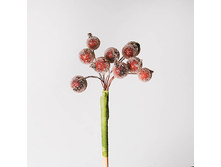 ������ ����� ����� � ������ 65 ���.jpg