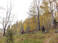 IMG 20161016 130215.jpg