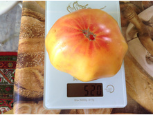 ������� �������