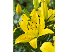 20,59���. ����� ������ �������(��� 7 ��. ���������� �� 2��.).jpg