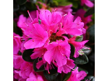 143���. ������ �������� ����� �����.jpg