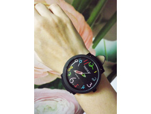 ���� �������� �����