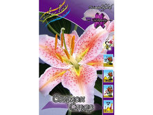 31,36���. ����� ������ ����(��� 5 ��. ���������� �� 2��.).jpg