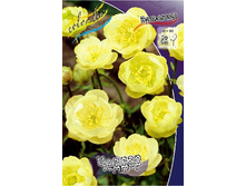 137,4���. ���������� ������(�������� ���� �� 1 ��., ����������� ����� 1��.).jpg