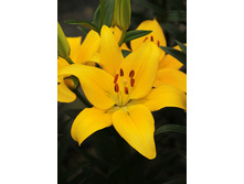 26,46���. ����� ������ ������(��� 5 ��. ���������� �� 2��.).jpg