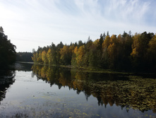 20161002 095204.jpg
