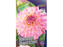 77,6���. �������� �������� ����������(�������� ���� �� 1 ��., ����������� ����� 1��.).jpg