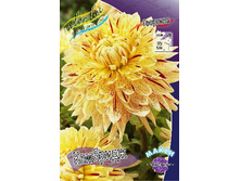 83,5���. �������� ��������(�������� ���� �� 1 ��., ����������� ����� 1��.).jpg