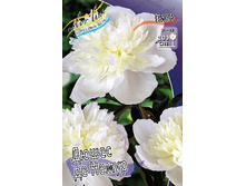 187,9���. ���� ������ �� ��������(�������� ���� �� 1 ��., ����������� ����� 1��.).jpg