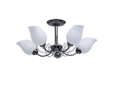 297013305 3100�.jpg