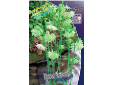 39,47���. ��������� ���� �����(�������� ���� �� 3 ��., ����������� ����� 1��.).jpg