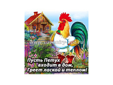 ������-1 2017-1 6��6 22���..jpg