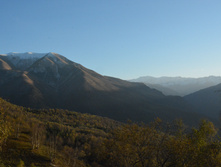 DSC 7546.JPG