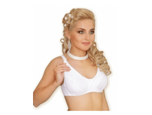 303�-01 ���� ������������ �����