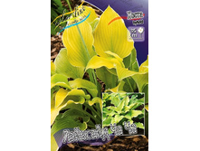 54,45���. ����� �������� �� ��(�������� ���� �� 2 ��., ����������� ����� 1��.).jpg