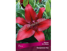 ����� ��������� ���.jpg