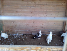 IMG 20161002 122027.jpg