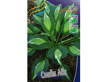 180���. ����� ����� ���(�������� ���� �� 1 ��., ����������� ����� 1��.).jpg