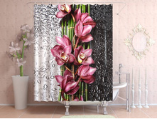 ����� ����� �����.jpg