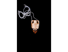 45 ���.������: �����