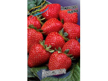 29,68���. ��������� ������� ��������(���������� ������ ������ ����������. � �������� 5 ��.).jpg