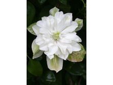 244���. �������� ����� ����(�������� ���� �� 2 ��., ����������� ����� 1��.).jpg