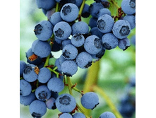 164���. �������� �������.jpg